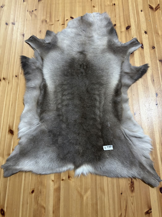 Reindeer Hide WS137