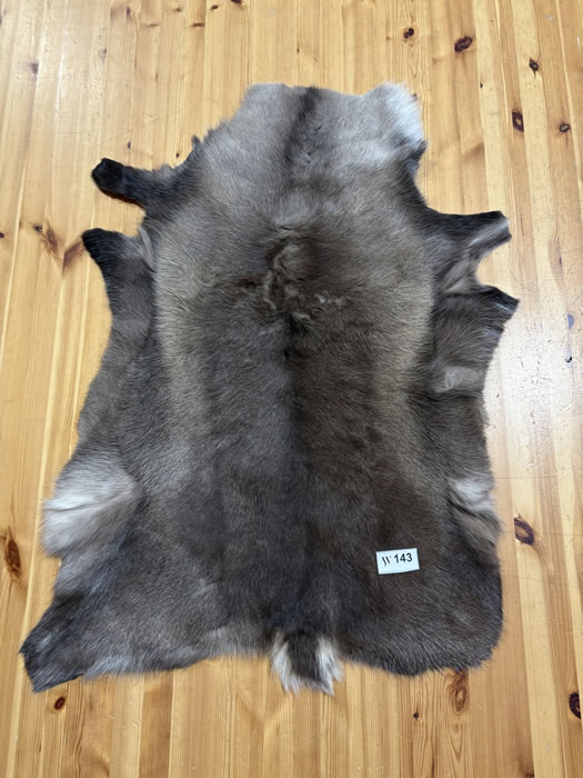 Reindeer Hide WS143