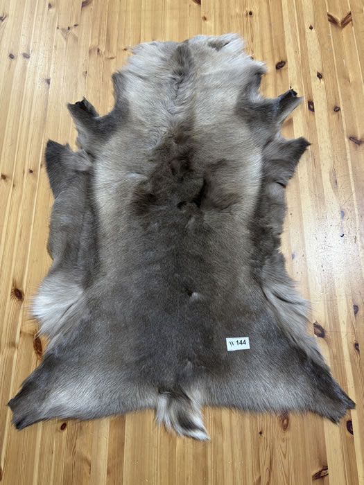 Reindeer Hide WS144