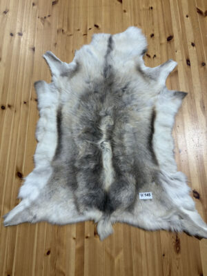 Reindeer Hide 2026 Stock