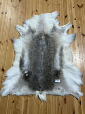 Reindeer Hide WS147