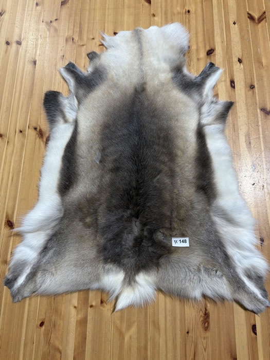 Reindeer Hide WS148