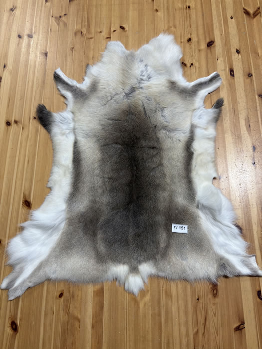 Reindeer Hide WS151
