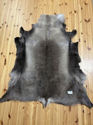 Reindeer Hide WS160