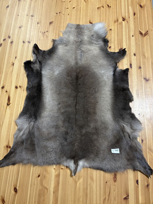 Reindeer Hide WS160