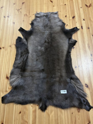 Reindeer Hide WS161