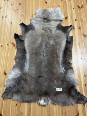 Reindeer Hide WS163