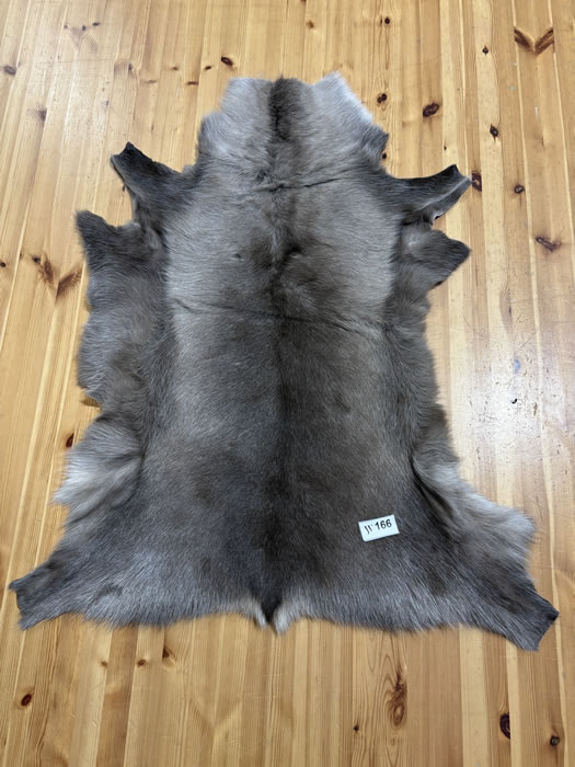 Reindeer Hide WS166