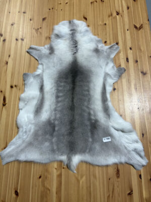 Reindeer Hide WS169