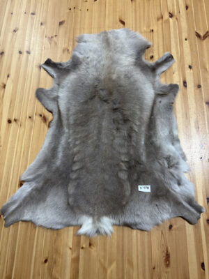 Reindeer Hide WS170