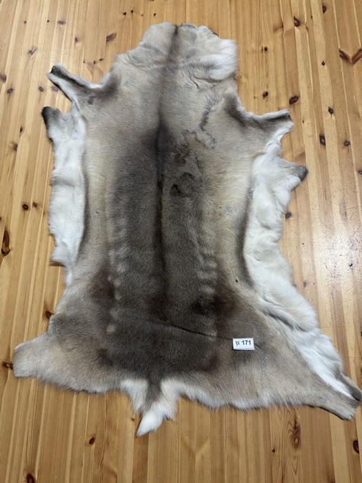 Reindeer Hide WS171