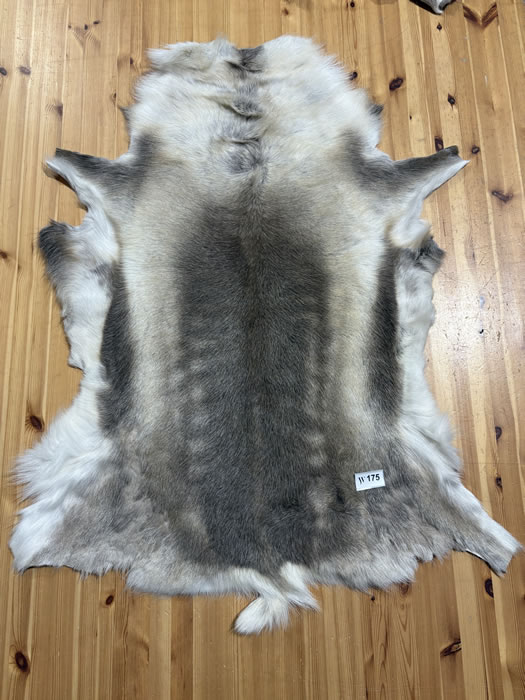 Reindeer Hide WS175