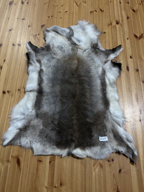 Reindeer Hide WS189