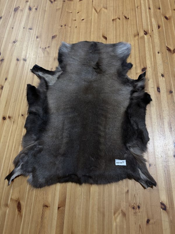 Reindeer Hide WS190