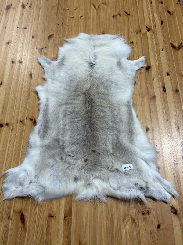 Reindeer Hide WS191