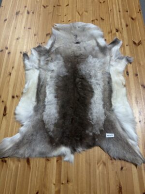 Reindeer Hide WS193