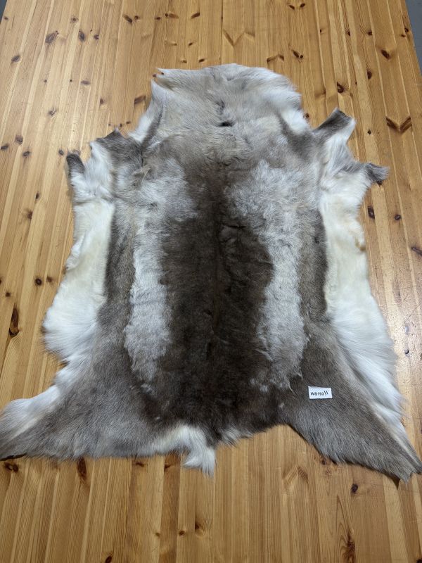 Reindeer Hide WS193