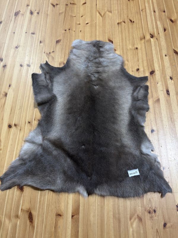 Reindeer Hide WS195