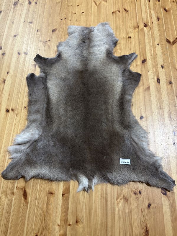Reindeer Hide WS197